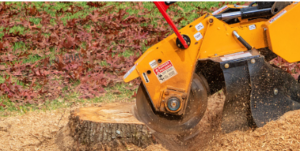 stump removal and land clearing Adelaide Hills