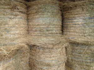 baler twine