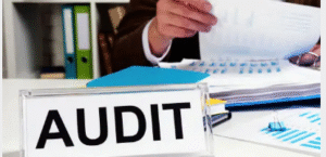 professional NDIS audit support