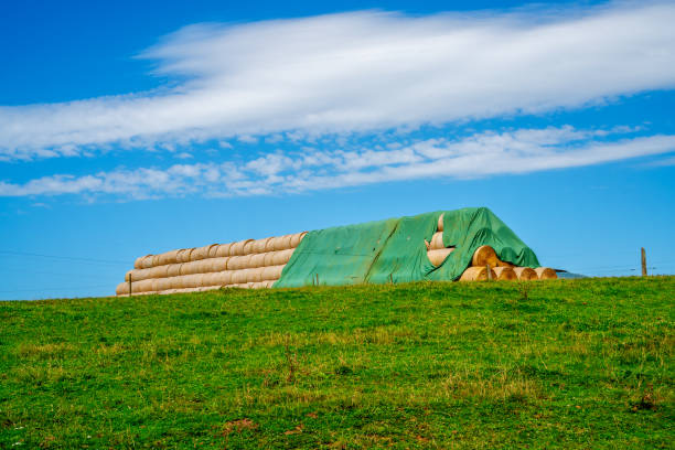 Bale Wrap