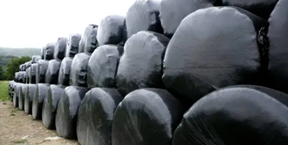 silage plastic